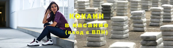 СК Горно-Алтайск